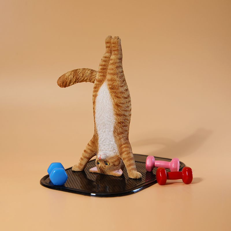 1/6 Ölçekli Mini Simüle Fitnes - Yoga Fitness First incelemesi ve fiyatı