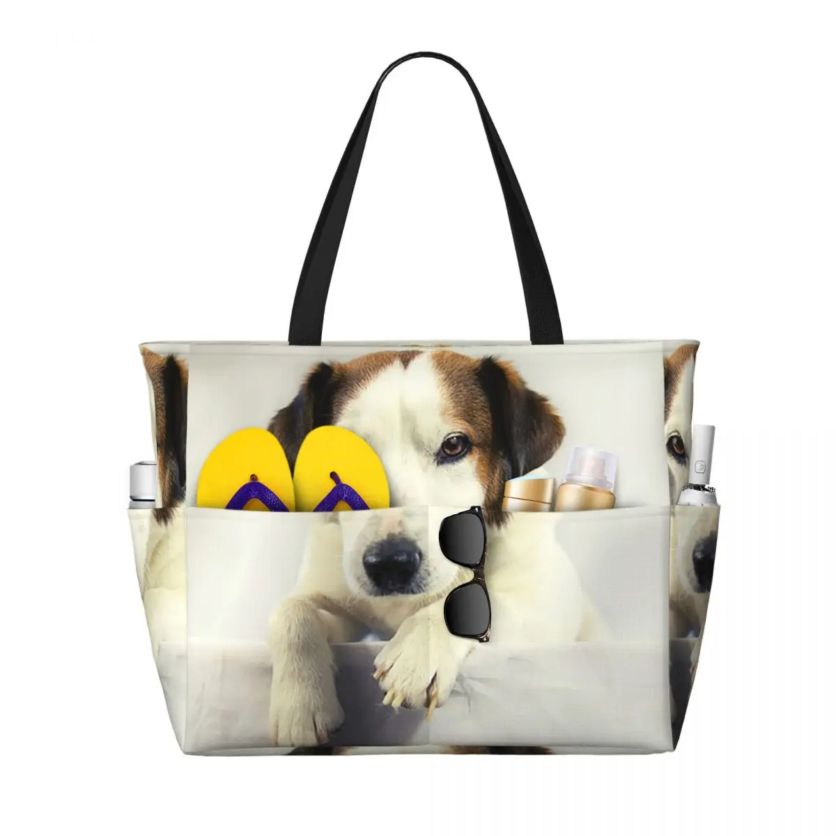 Köpek Jack Russell Terrier Fot - Yoga Fitness Gym Photos incelemesi ve fiyatı