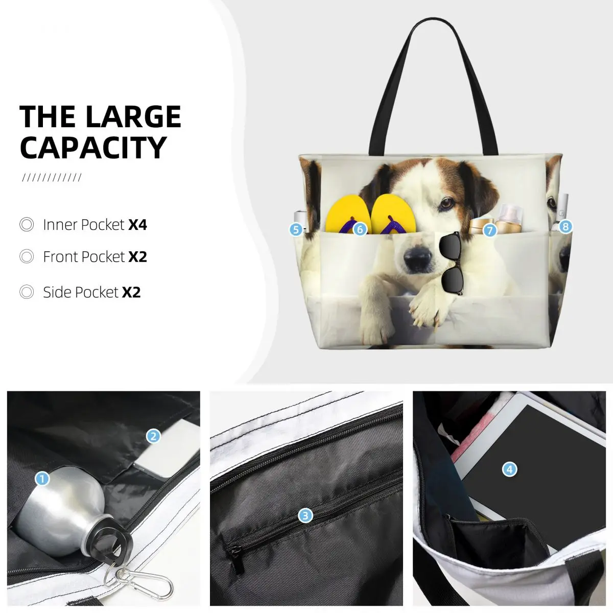 Köpek Jack Russell Terrier Fot - Yoga Fitness Gym Photos incelemesi ve fiyatı