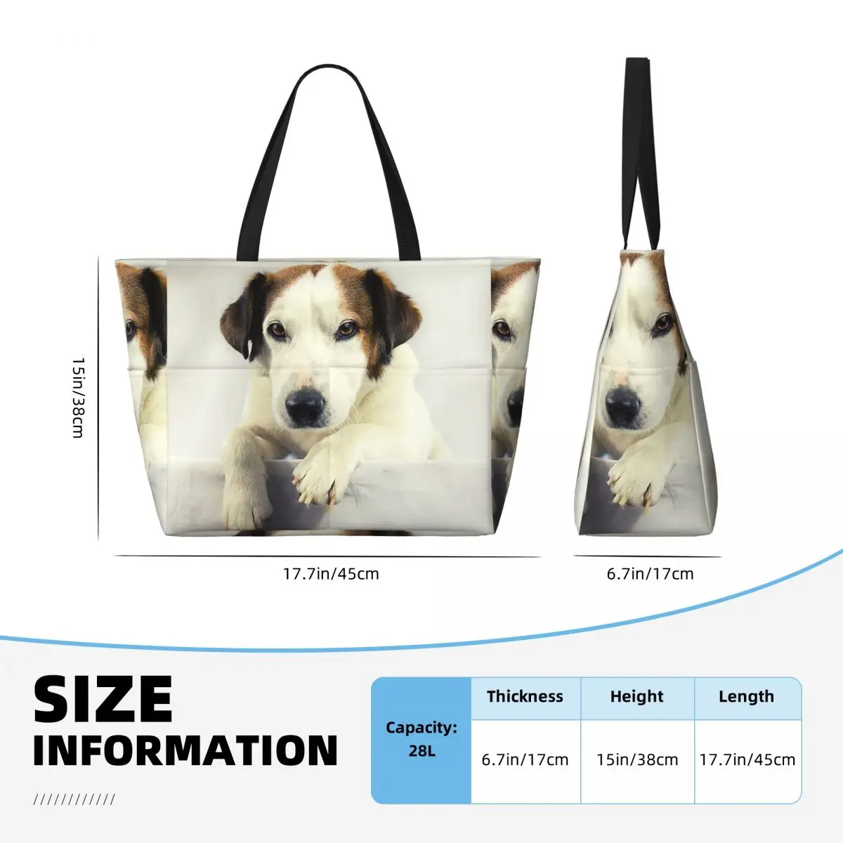 Köpek Jack Russell Terrier Fot - Yoga Fitness Gym Photos incelemesi ve fiyatı